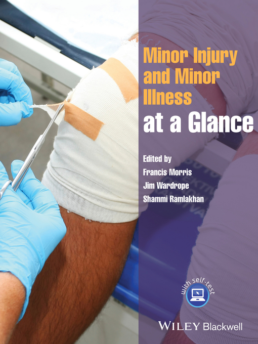 Title details for Minor Injury and Minor Illness at a Glance by Francis Morris - Available